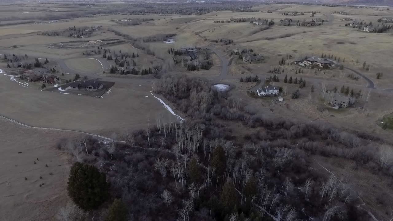 농촌 주택은 몬태나의 숲을 볼 수 있습니다.