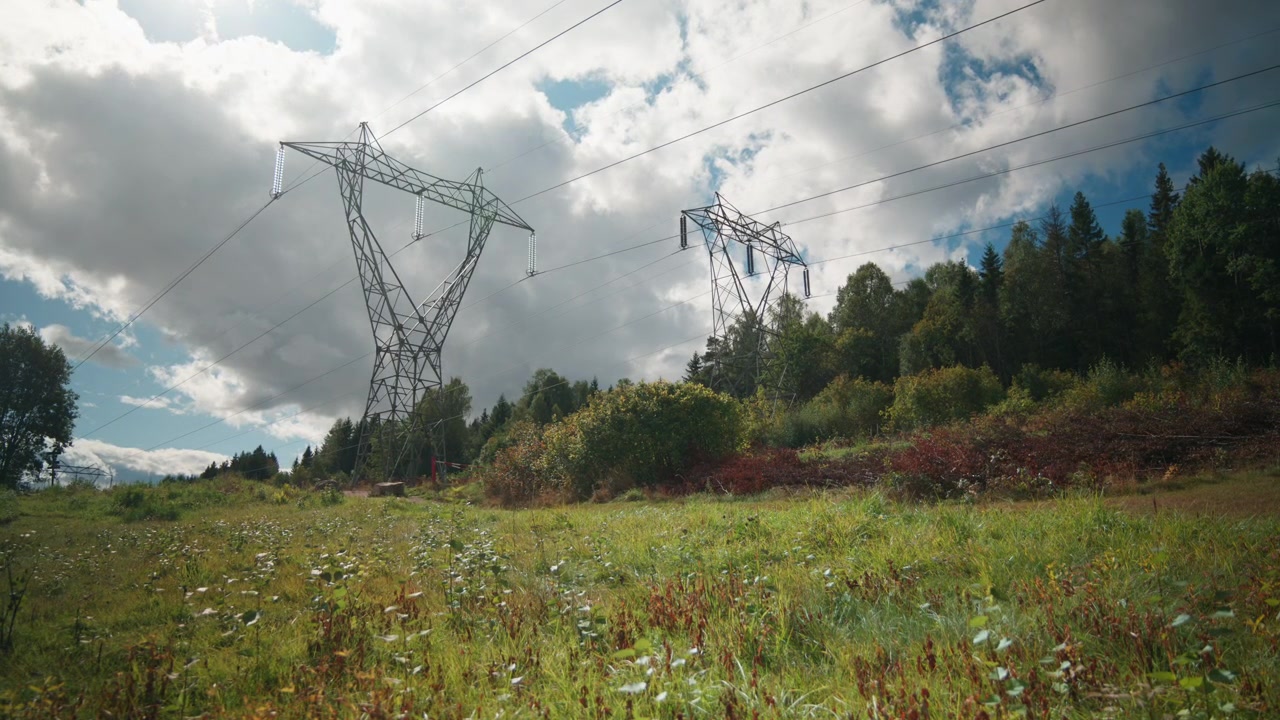 Steel power pylons and suspended lines rise over a grassy meadow beside dense woodland as clouds drift across a bright sky.