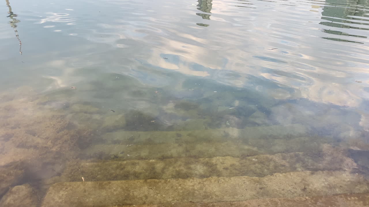 물 위의 더러운 발걸음