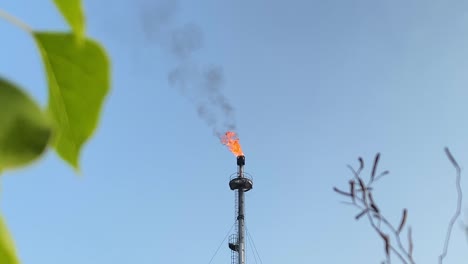 Brennende-Gasfackel-Industrieraffinerie,-Klarer-Blauer-Himmel,-Blätter-Im-Vordergrund