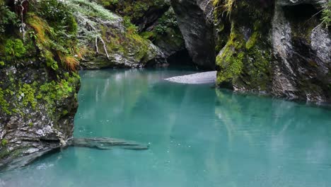 paradise canyon with clear blue water and mossy carved gorge