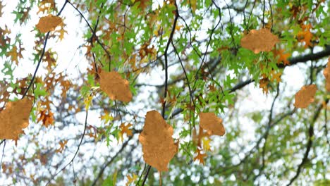 animation of autumn leaves falling against low angle view of trees and sky