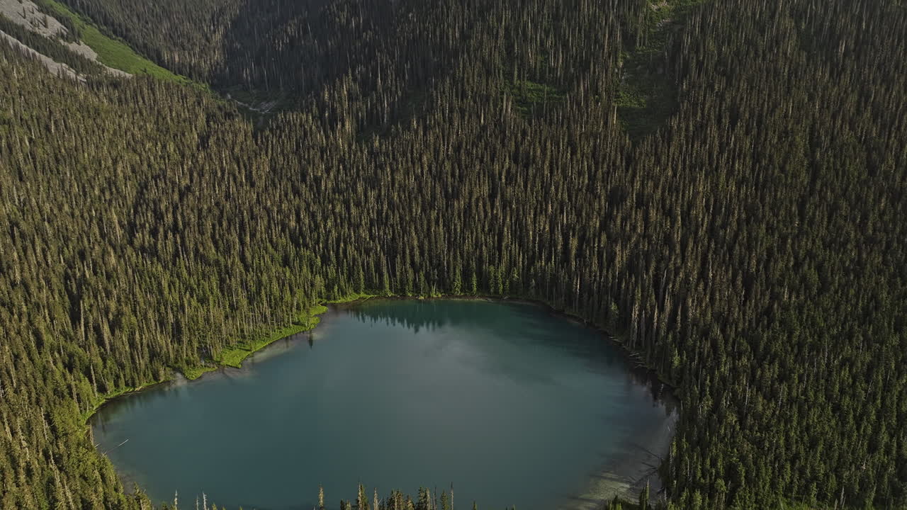Lower Joffre Lake BC Canada Drone con vista aerea v4 a volo d'uccello che cattura la bellezza della natura, un lago turchese circondato da fitte foreste, montagne e ghiacciai - Ripreso con Mavic 3 Pro Cine - Luglio 2023