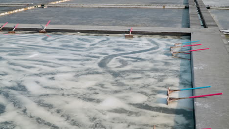 gaetgol ecological park with salt flats field in siheung, south korea