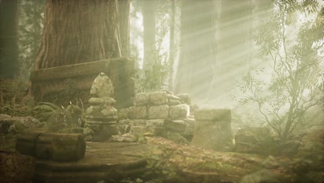 ruinas viejas de la antigua ciudad en el bosque de pinos