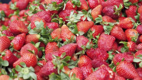 fresh strawberries