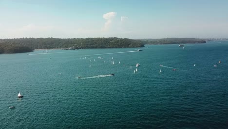 Sydney---Puerto-De-Sydney-En-La-Bahía-De-Tiburones