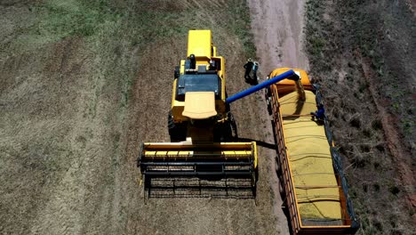 Combine-harvester-offloading-freshly-harvested-soybeans-into-a-truck---aerial-view