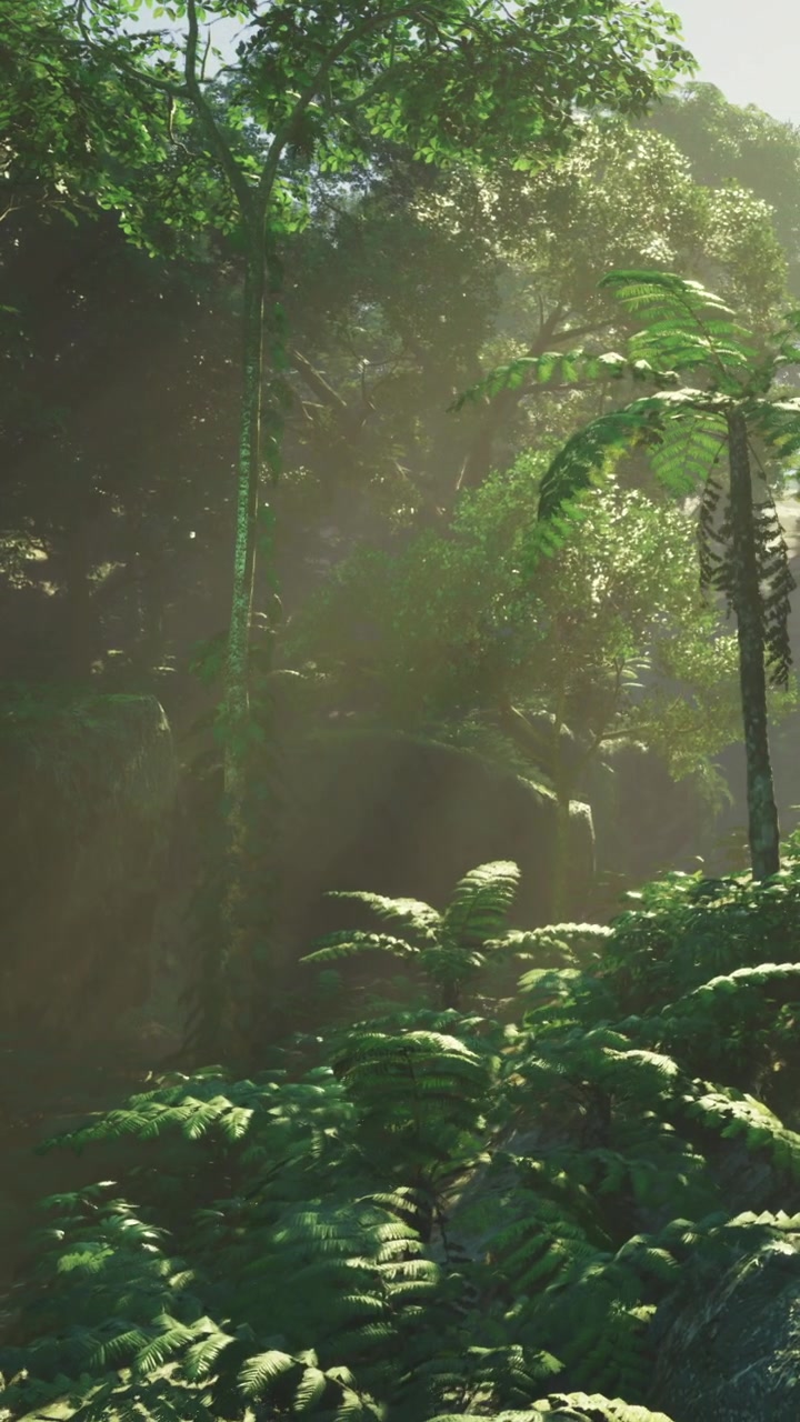 La luce del sole filtra tra gli alberi in una giungla fitta nelle prime ore del mattino.