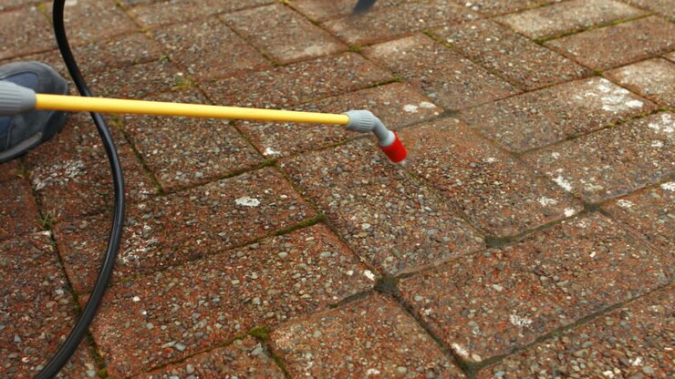 Man doing pest control