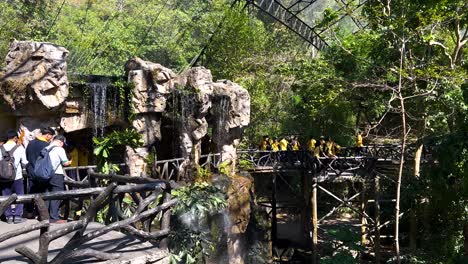 tourists observe wildlife from a wooden platform