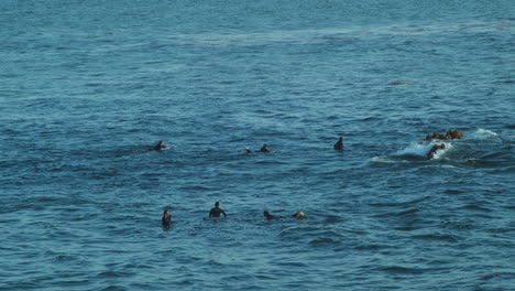 Surfer-Vor-Der-Küste-Südkaliforniens-Sitzen-Auf-Ihren-Brettern-Auf-Der-Wasseroberfläche-Und-Warten-Auf-Eine-Welle,-Während-Das-Meer-Um-Sie-Herum-Anschwillt