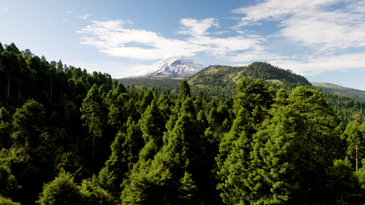 disparo de drones con vistas al bosque circundante del parque nacional del volcán popocatepetl