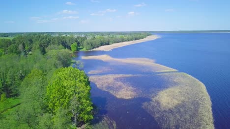 aerial view of a lake usma coastline on a sunny summer day, distant islands with lush green forest, coast with old reeds, beautiful rural landscape, wide angle drone shot moving forward