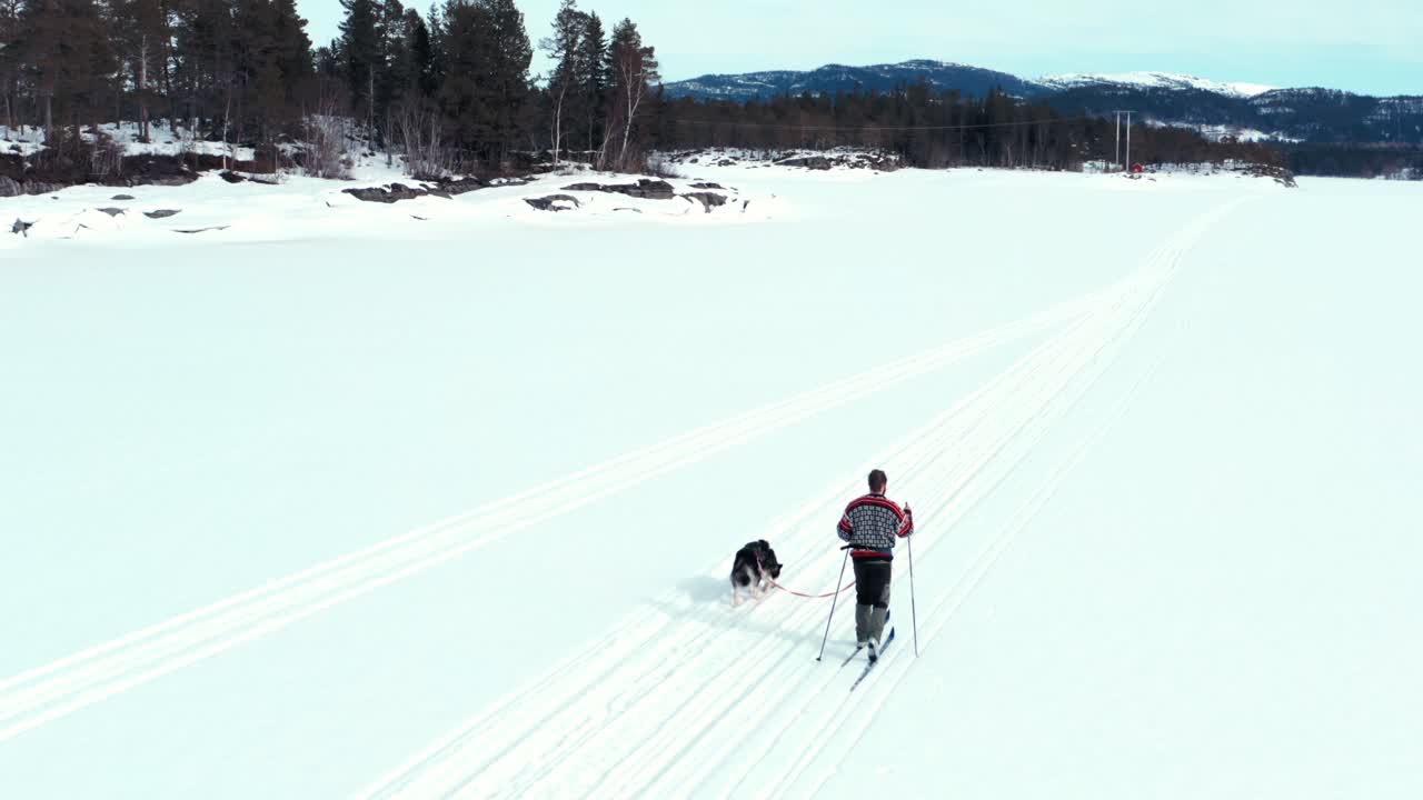 hombre esquiando en un camino nevado con su perro malamute de alaska