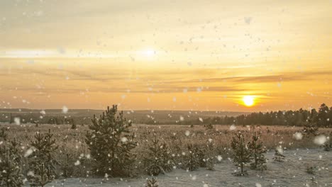 snow falling nature forest trees landscape on white sunny winter day mood. light and bright snow cold time, video loop, cinemagraph video loop