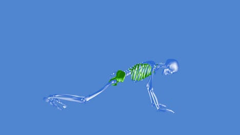 골격 따뜻해지기 - 휴식 - 금