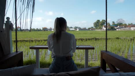 a young european girl in a blue dress remotely online working on laptop and looking into the screen on the backyard with green plants