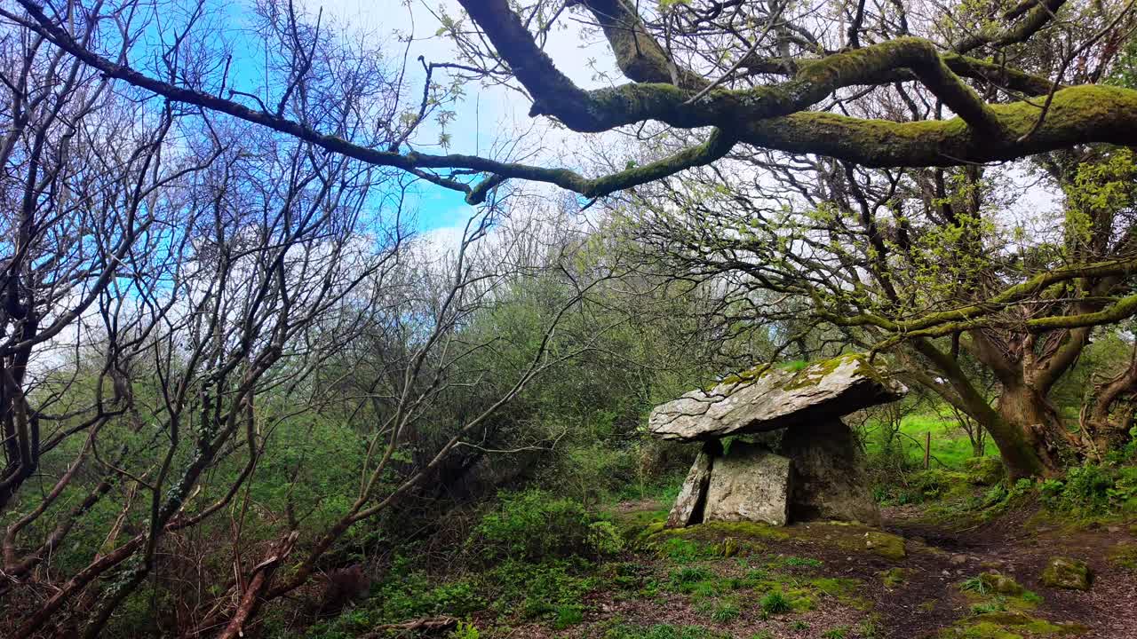 viento en las ramas tierra antigua y lugar espiritual de los antepasados sitio religioso y ventana del pasado gaulstown dolmen waterford irlanda