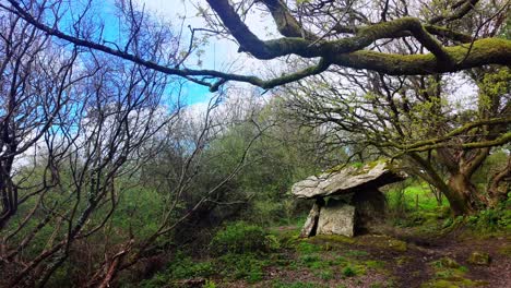 Wind-In-Den-Zweigen,-Alter-Boden-Und-Spiritueller-Ort-Der-Vorfahren,-Religiöse-Stätte-Und-Fenster-Der-Vergangenheit,-Gaulstown-Dolmen,-Waterford,-Irland