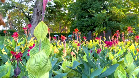 a serene view of colorful flowers in benjakitti park, bangkok, captured with gentle camera movement and natural lighting