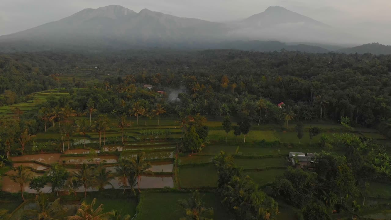 Rinjani Tetebatun rehevän pellon yllä. Indonesia, Lombok