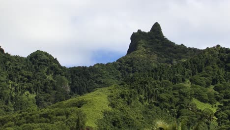 Maunga-Roa-mountain-in-Rarotonga,-Cook-Islands-and-the-rainforest