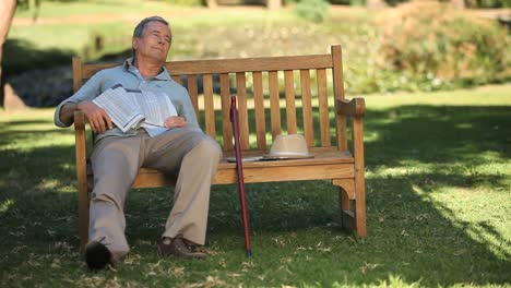 old man waking up on a bench