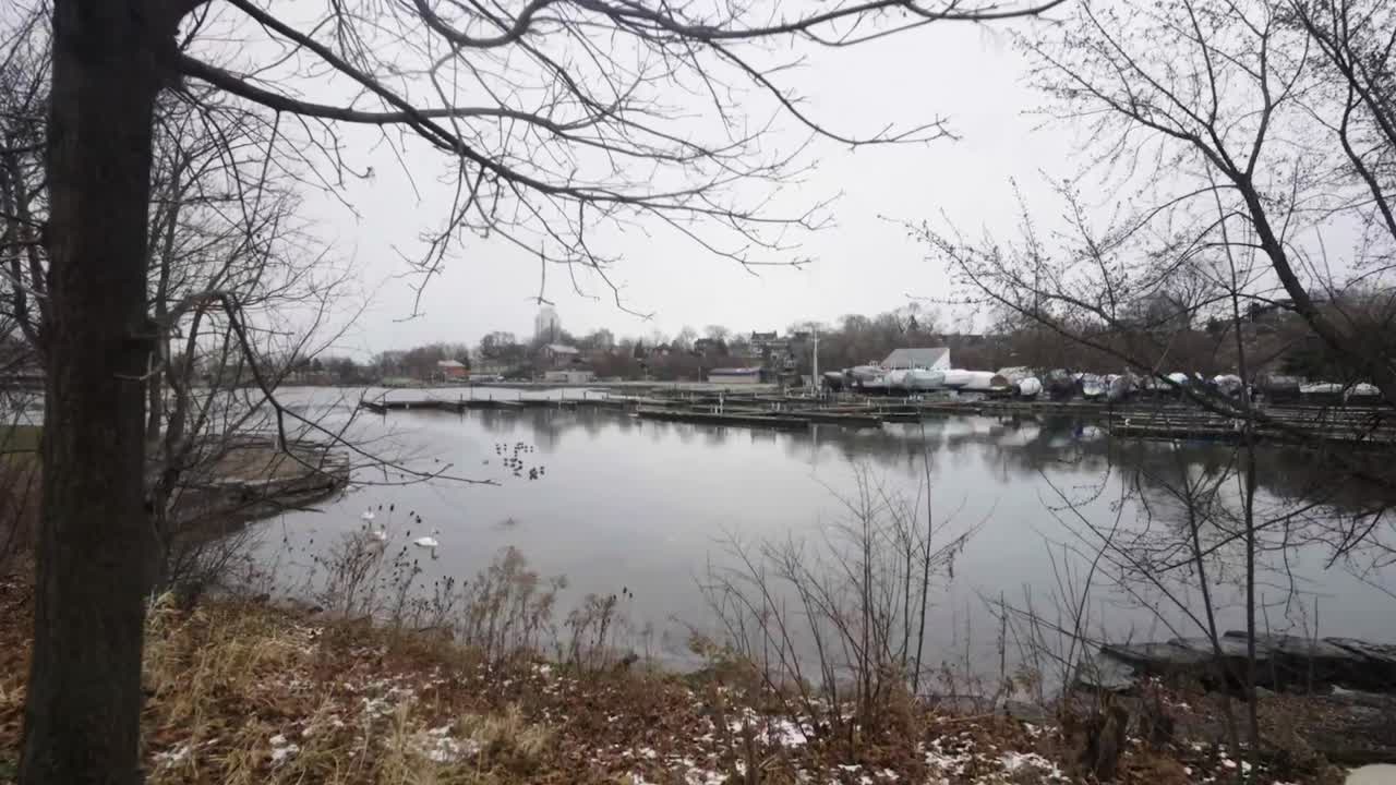 해밀턴의 추운 겨울날 보트로 가득 찬 항구의 호숫가를 따라 산책