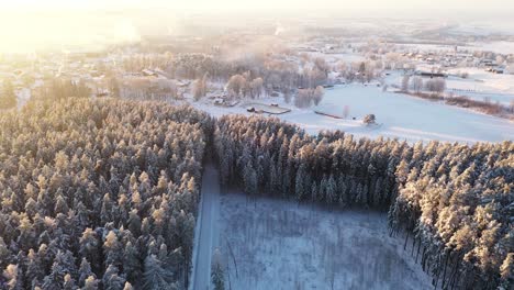 Drohnenansicht-über-Goldenen-Baumwipfeln,-Wintermorgenszene,-Dolly-Einrichten