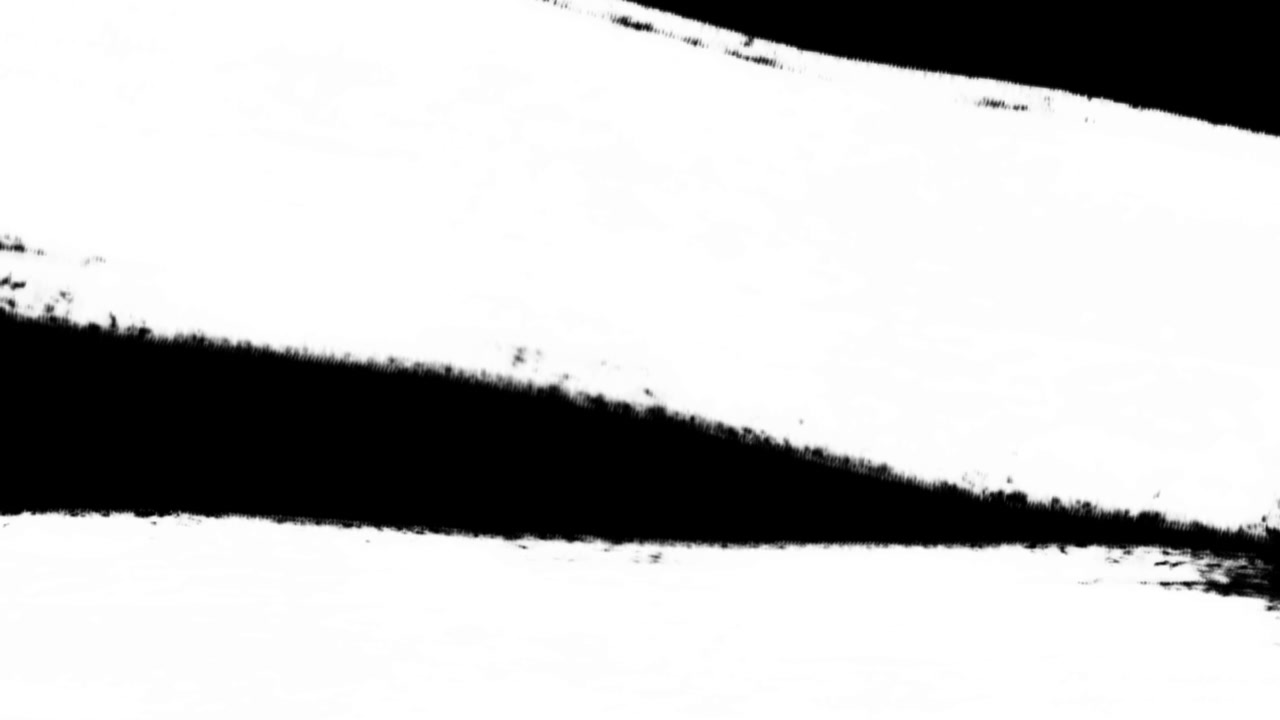 Effetto di transizione con pennellate in bianco e nero