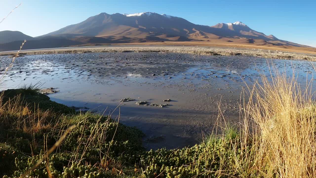 paisaje de la ruta de la laguna en los humedales de atacama, bolivia, relajantes vibraciones volcánicas de montaña en el horizonte de la cordillera andina