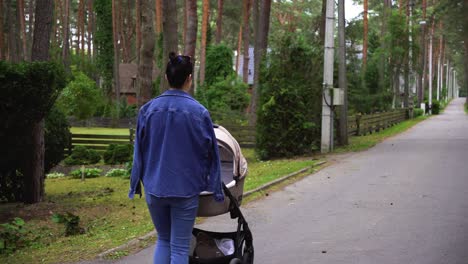 Mujer-Con-Un-Bebé-En-Un-Cochecito-En-Una-Zona-Con-Casas-De-Madera-Y-Un-Bosque.