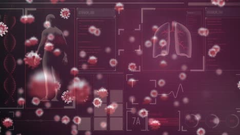 Animación-De-Células-Covid-19-Y-Procesamiento-De-Datos-Sobre-El-Cuerpo-Humano