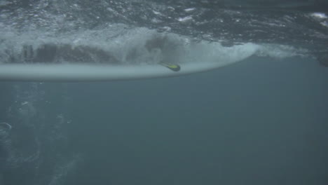 underwater shot of asian surfer paddling on top of his surfboard