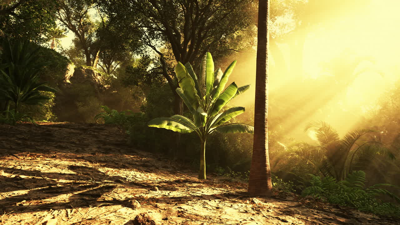 explorando un camino de la selva exuberante iluminado por la cálida luz dorada del sol en la naturaleza