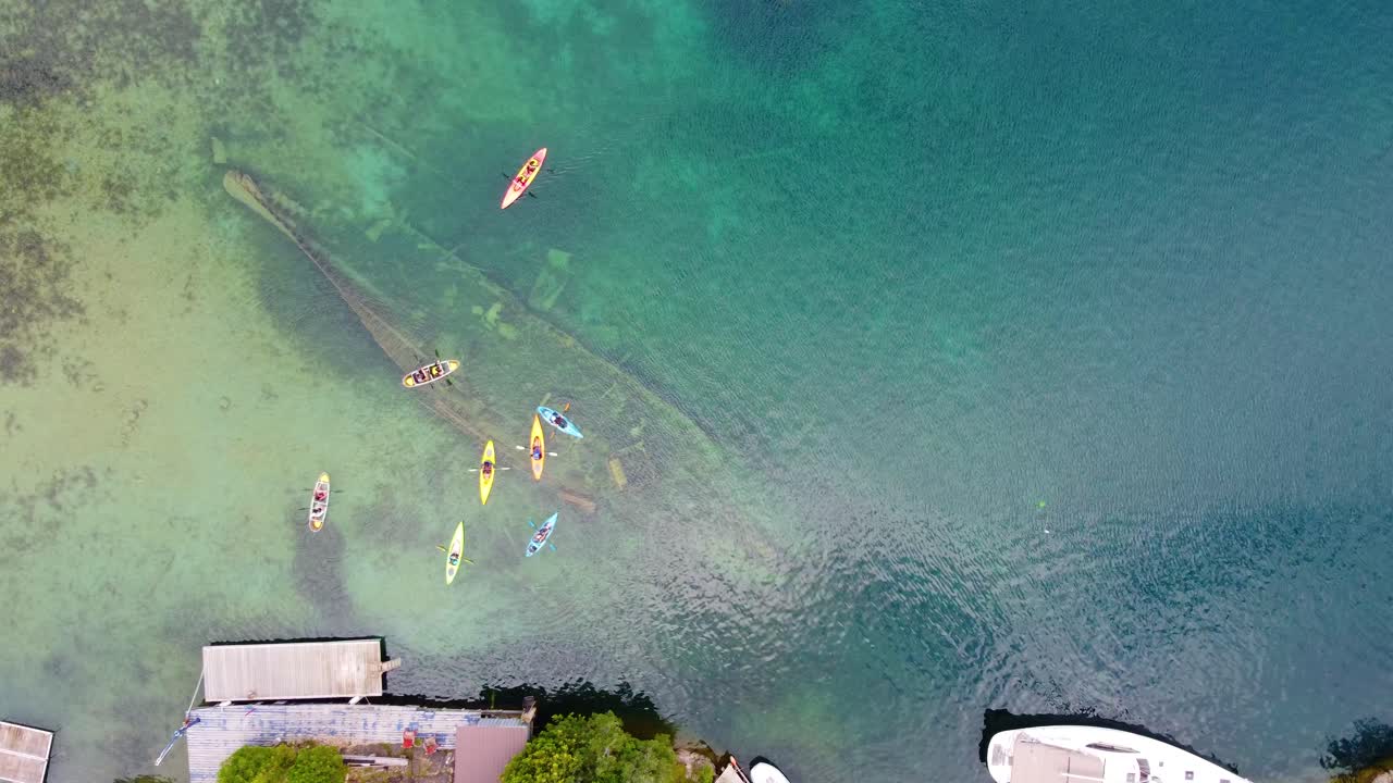 Group of people paddle boarding, canoeing over shipwreck Georgian bay