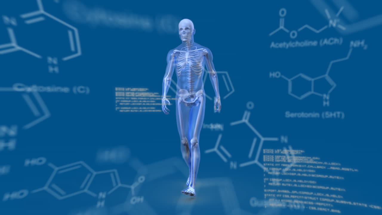 データに囲まれたサークルを歩く人間