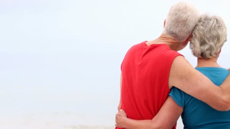 una vieja pareja abrazada frente al mar