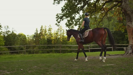 esta es la mejor vista de la equitación. una mujer profesional de caballos está montando en su caballo por emociones y sentimientos maravillosos.