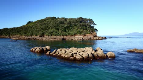 Ascending-Aerial-Over-Calm-Water-Revealing-People-Snorkelling-In-Goat-Island-Marine-Reserve,-New-Zealand