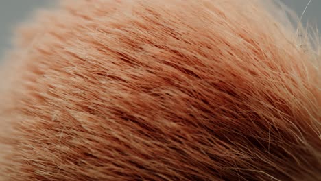 close-up of a makeup brush