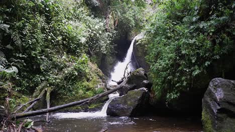 Small-waterfall-river-drops-into-lush-calm-jungle-grotto-pool-below