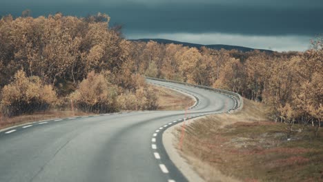 Conduzca-Por-La-Estrecha-Carretera-Rural-A-Través-Del-Pálido-Paisaje-Otoñal-Cubierto-De-Bosques