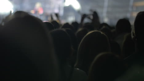 dancing audience of musical band performance