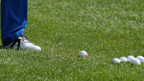 jugador de golf en el campo