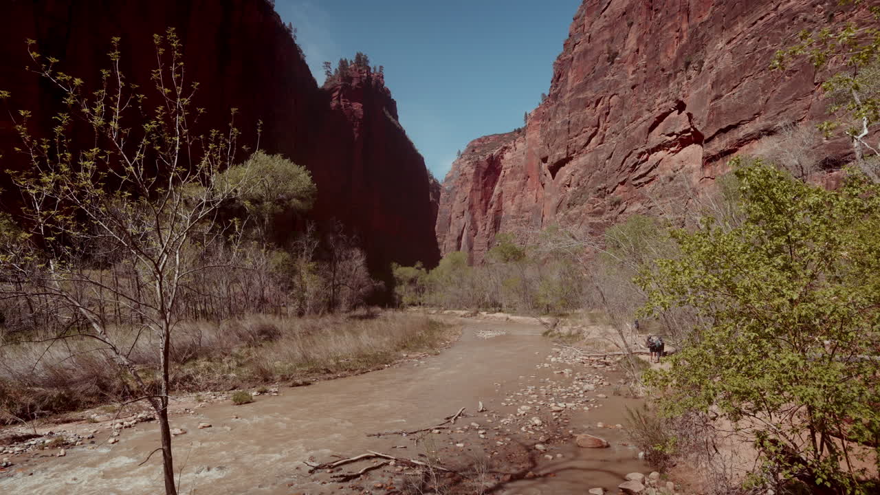Zion Canyon River Scene