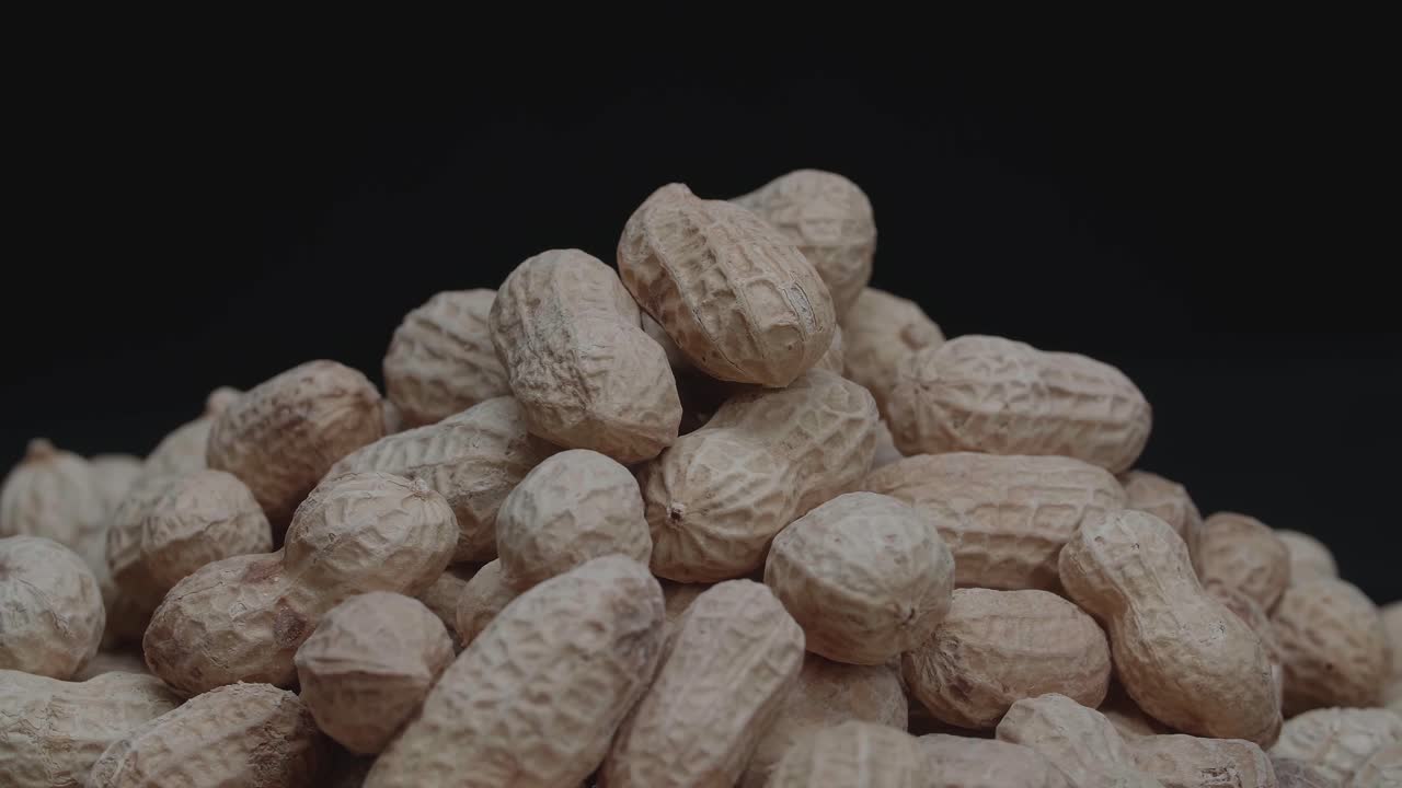 Organic Fresh Peanuts Rotation. Peanuts Are Provide High Proteins
