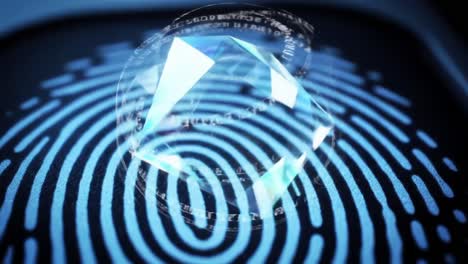 a detailed look at digital fingerprints: exploring the intersection of identity and technology through unique patterns and interactive elements