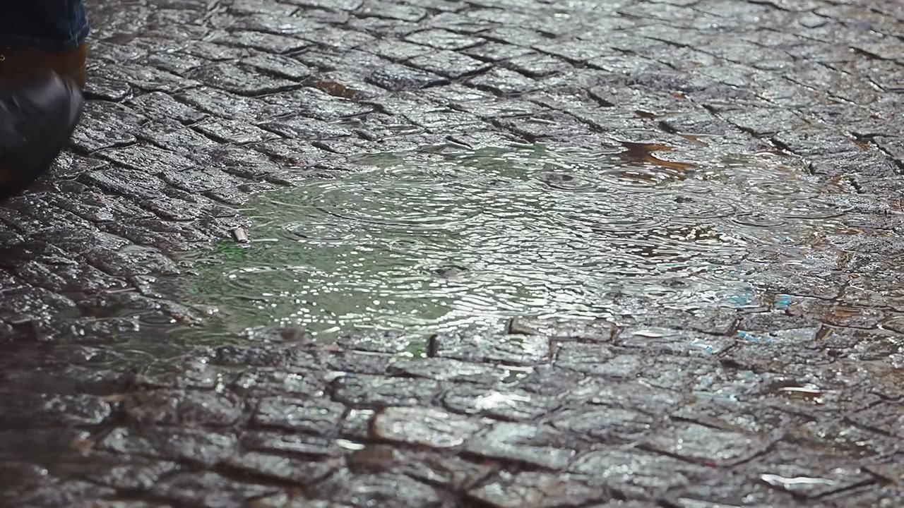 Person Walking Past a Puddle with Raindrops on a Cobblestone Street